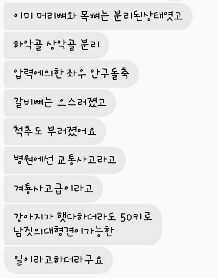 누군가 집에 침입해 강아지를 죽이고 감 (혐오주의) | 인스티즈