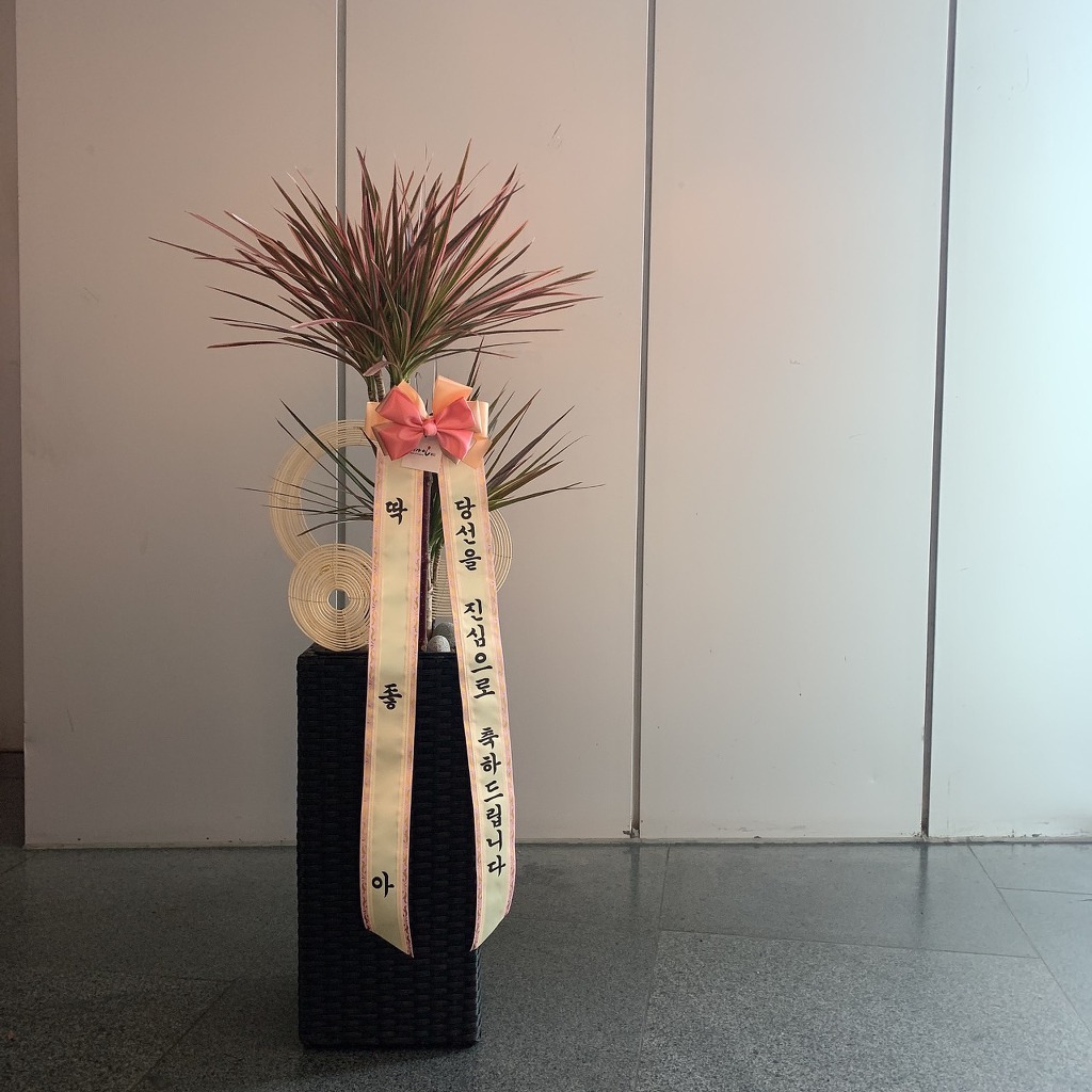 레인보우디자인 이미지