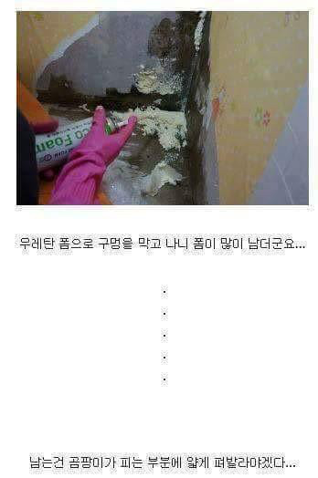 셀프 인테리어 레전드 | 인스티즈