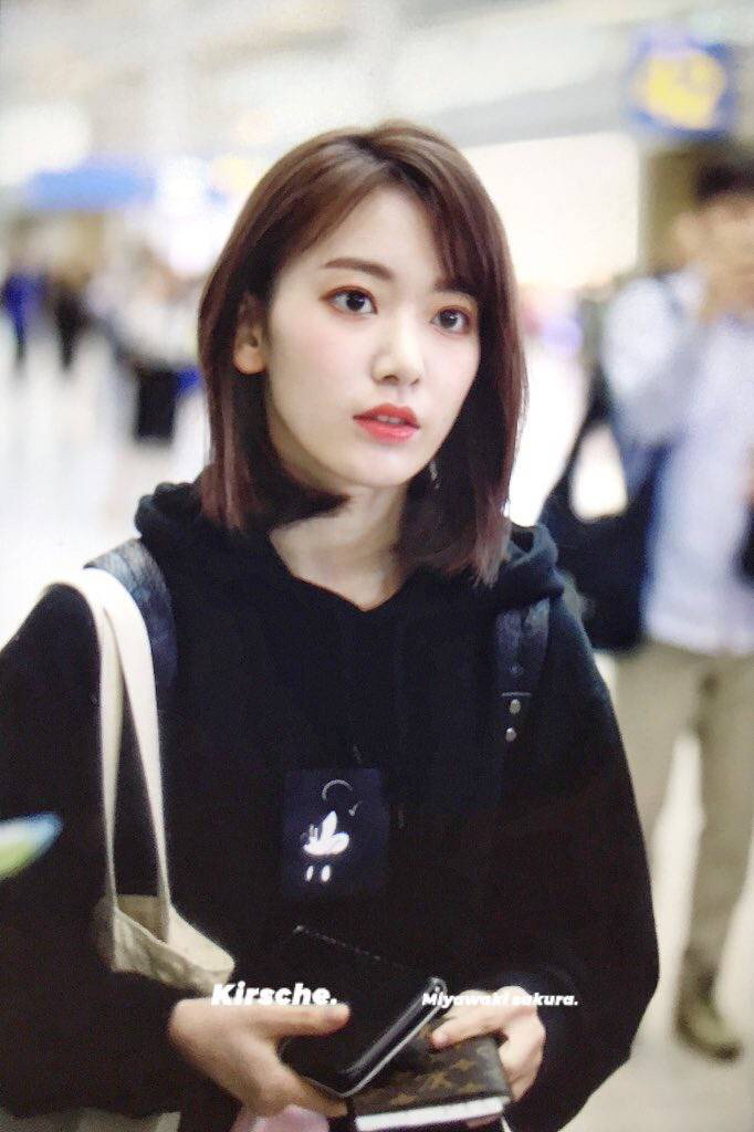 사쿠라로 확인하는 일본 스타일 한국 스타일 비교 | 인스티즈