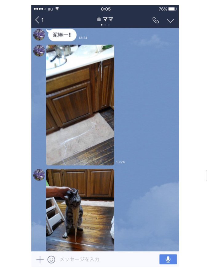 삶아둔 국수 훔다 걸린 야옹이 | 인스티즈