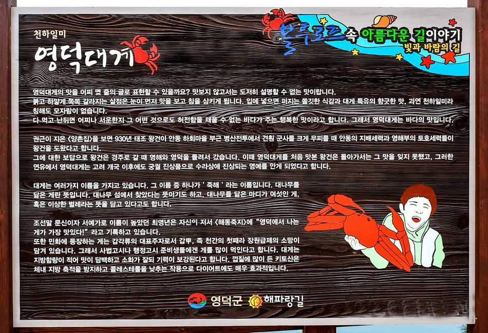 해파랑길 20코스 영덕 블루로드 A 이미지