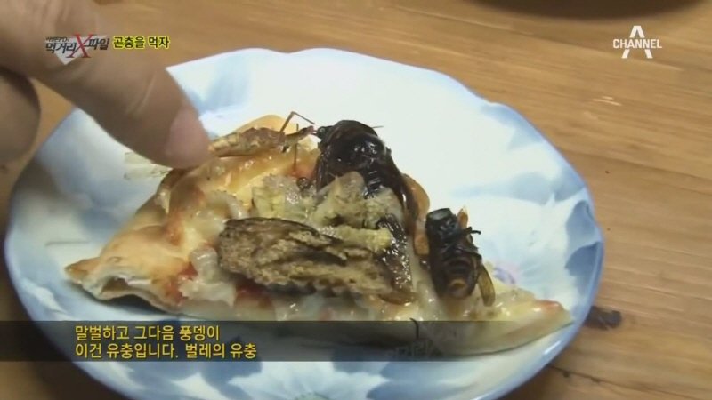 혐주의) 곤충요리가 대중화되지 않는 이유 | 인스티즈