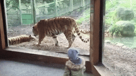 아기 보는 앞에서 부부싸움 | 인스티즈