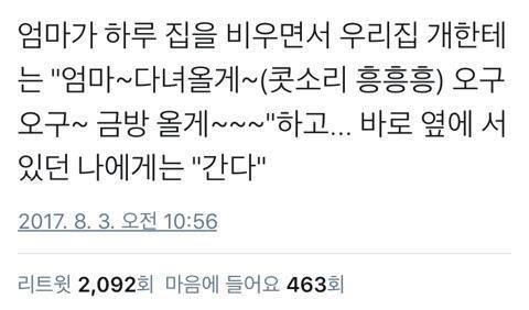 강아지 키우는 집 공감.twt | 인스티즈