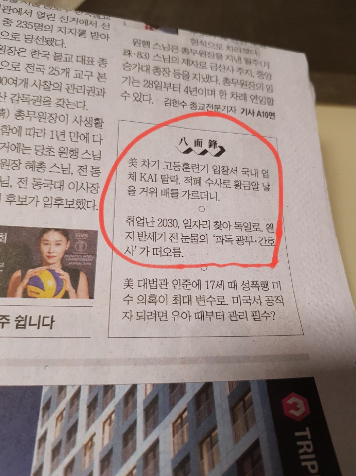조선일보의 논리.jpg | 인스티즈