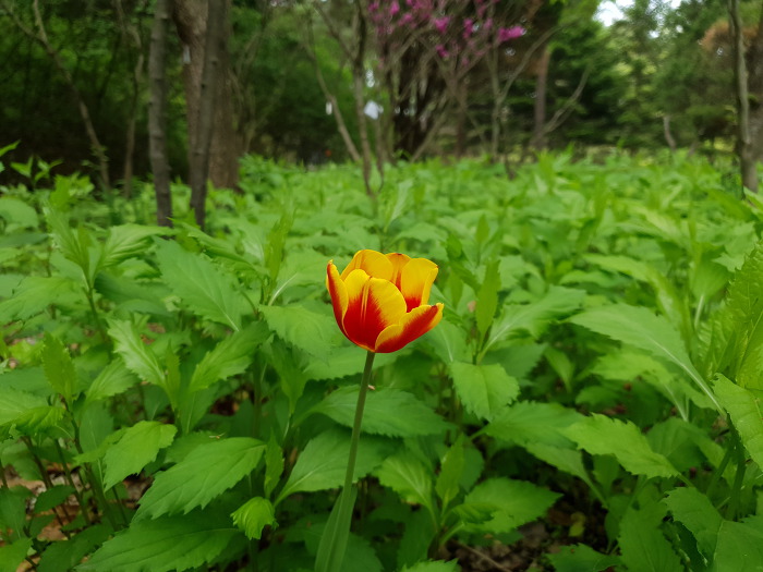 9931D73F5CC64F1725B31C