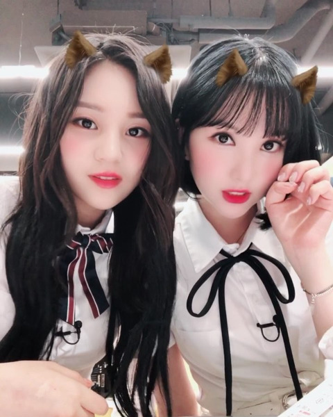 미라인 이미지