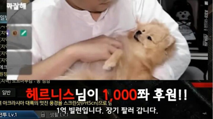 로아로 1억 번 스트리머 등장.jpg | 인스티즈
