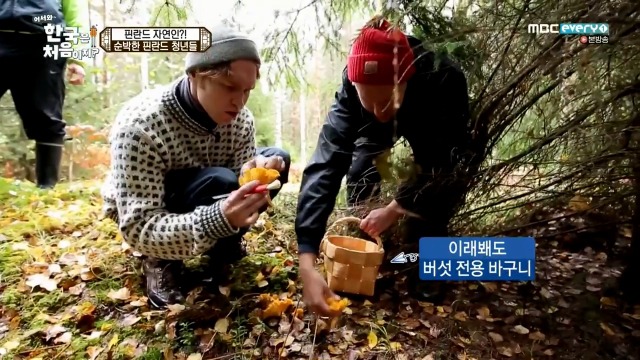 [어서와~한국은처음이지?] 핀란드 20대男들의 유흥문화 | 인스티즈