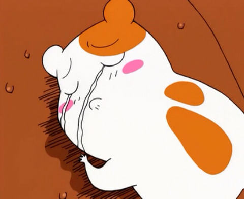 온지 이미지