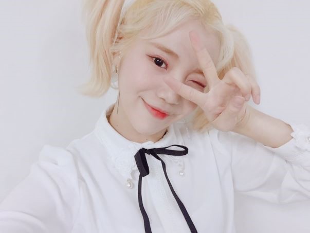 걸그룹 멤버 14명중 7명을 뽑아서 예능을 한다면? | 인스티즈