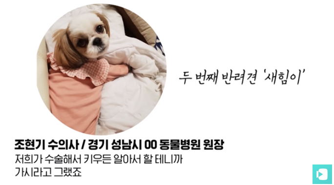 폭염 속 버려진 똘똘이가 모니로 개명한 사연 | 인스티즈