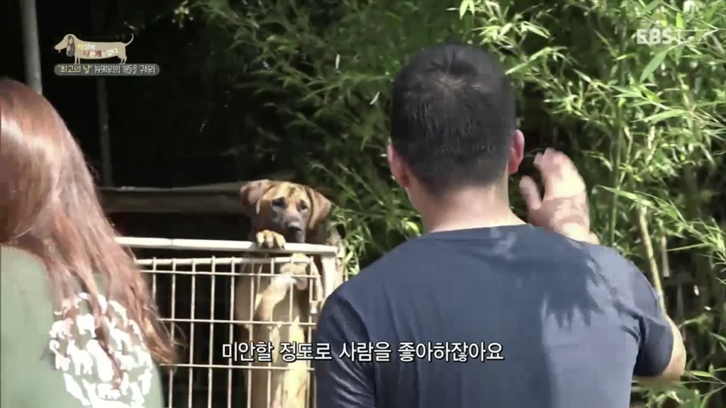 어떻게 사람을 그렇게 좋아할 수 있죠? | 인스티즈