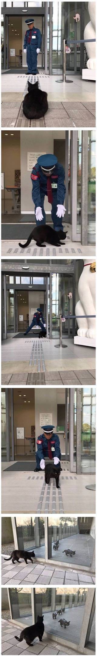 차별 당하는 고양이.jpgif | 인스티즈