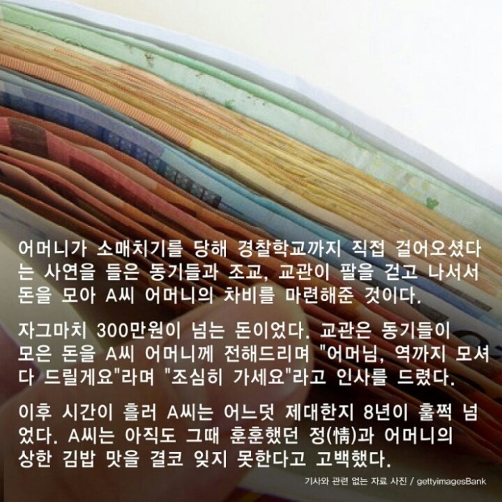 엄마김밥 이미지