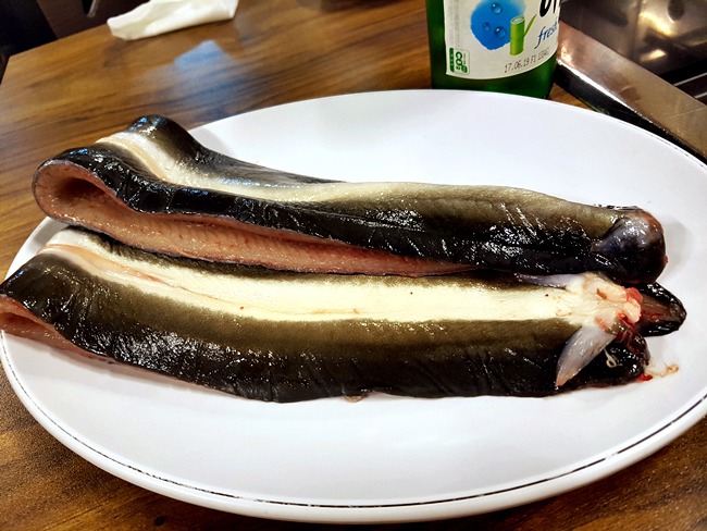 고향풍천장어 이미지