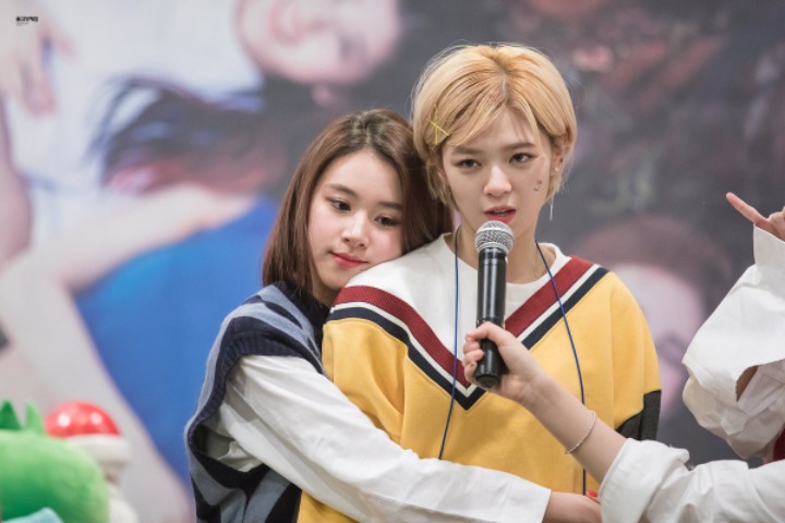 형제 같은 트와이스 멤버 .gif | 인스티즈