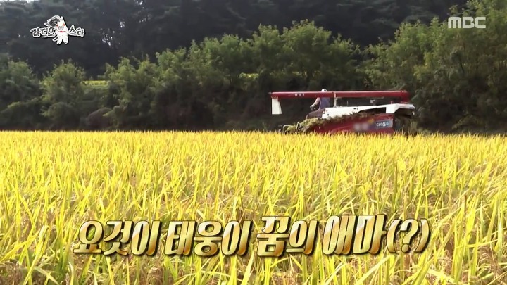 학교에서도 방송녹화중에도 소걱정뿐인 인생 2회차 소년 농부 | 인스티즈