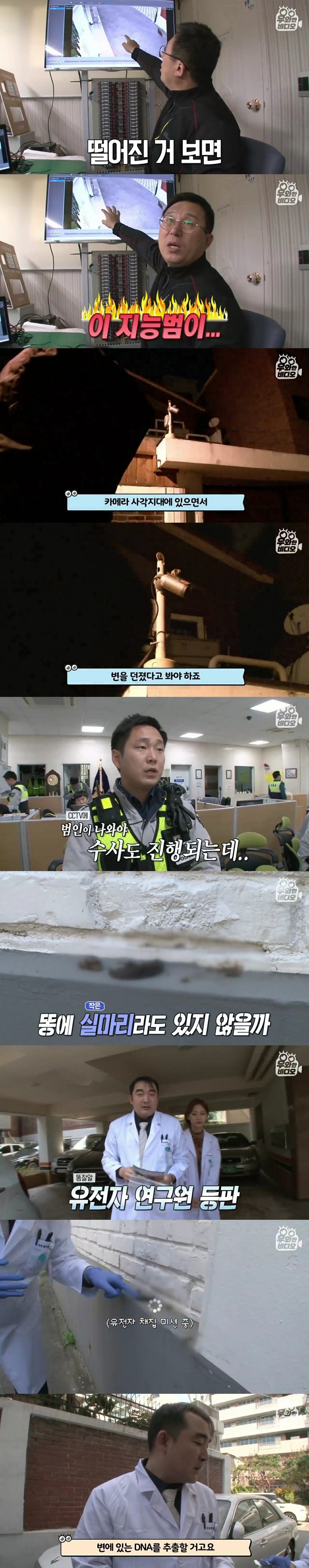 골목에 똥을 던져서 CCTV를 설치해봤더니 | 인스티즈