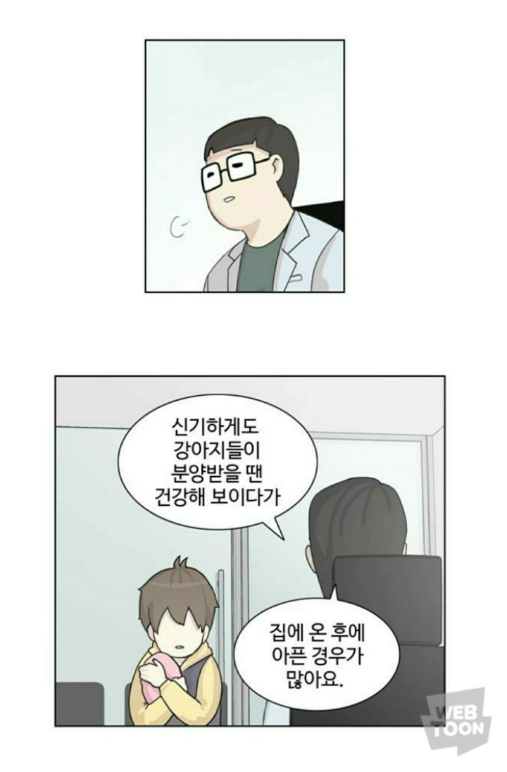 병든 강아지가 분양 후에 아파하는 이유 | 인스티즈
