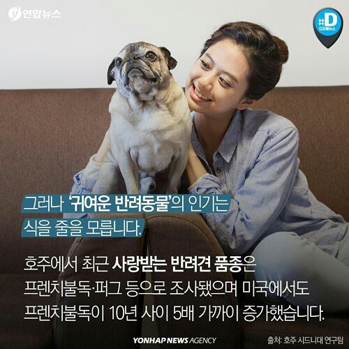 귀엽다구요? 사실 난 아픈 고양이에요 | 인스티즈