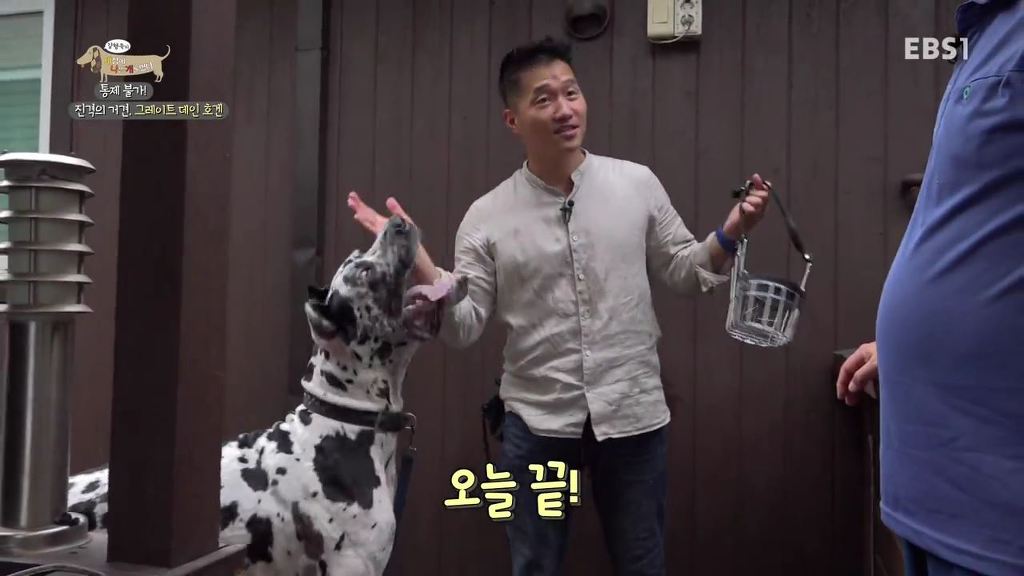 반려견의 입마개 거부감 없애는 팁 .gif | 인스티즈
