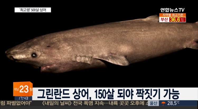 150살 동안 못하는....jpg | 인스티즈