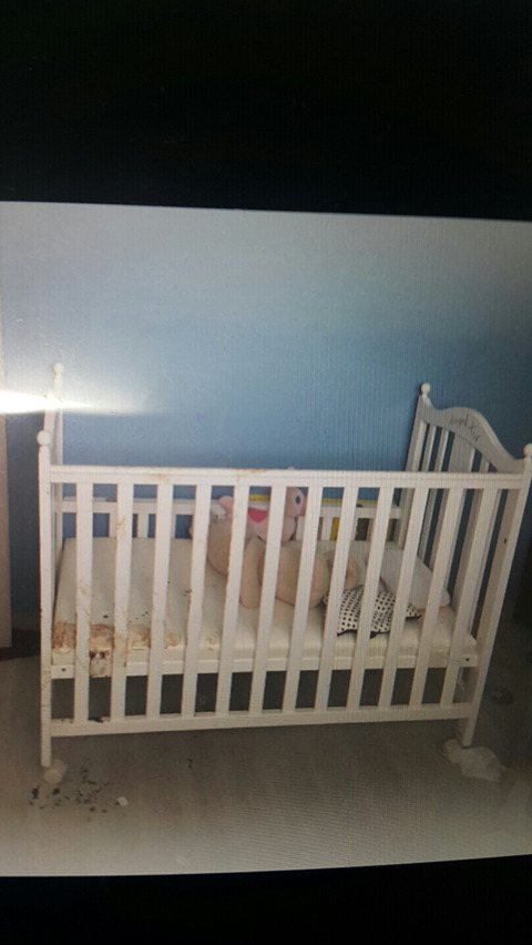  현준이가 묶여있던 아기침대 | 인스티즈