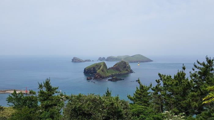 유진상조 이미지