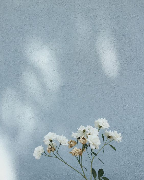 온자리 이미지