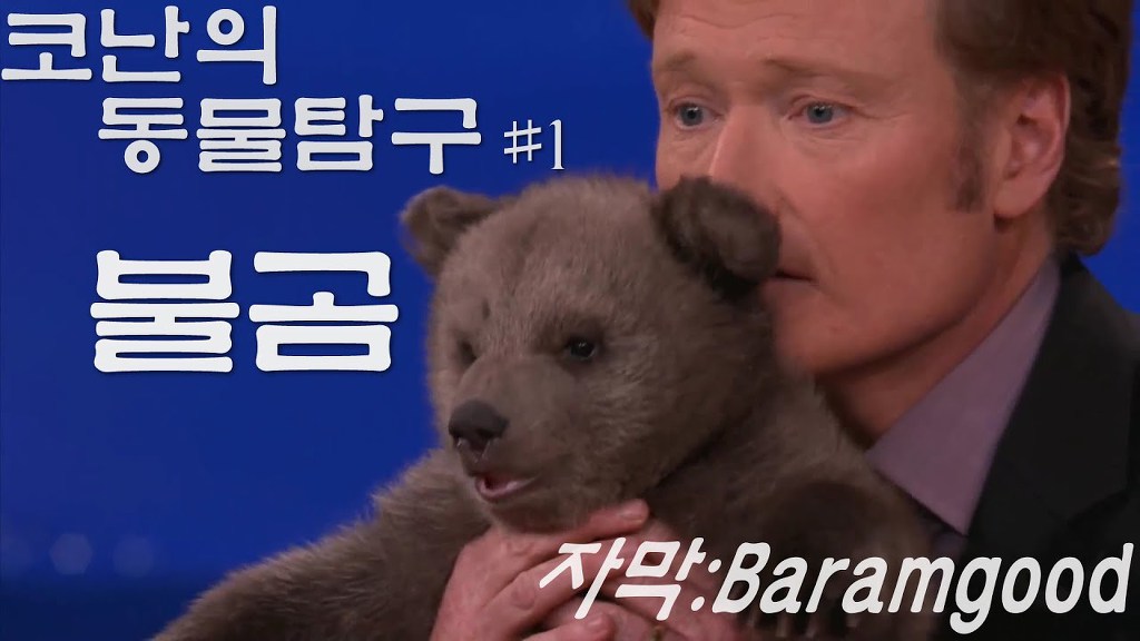 종은 이미지