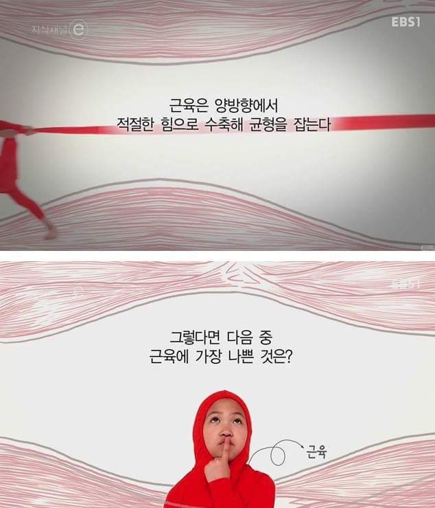 우리의 근육이 바쁜 이유 | 인스티즈