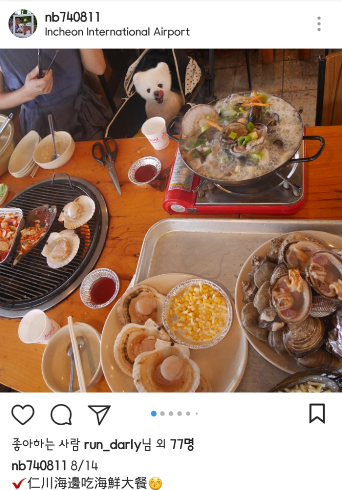 대만사람까지 꼬시고 다니는 한류 스타 강아지 달리 | 인스티즈