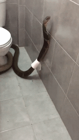 이상형 여자친구와 첫만남..배아파서 화장실에왔다.. 선택은??..gif | 인스티즈