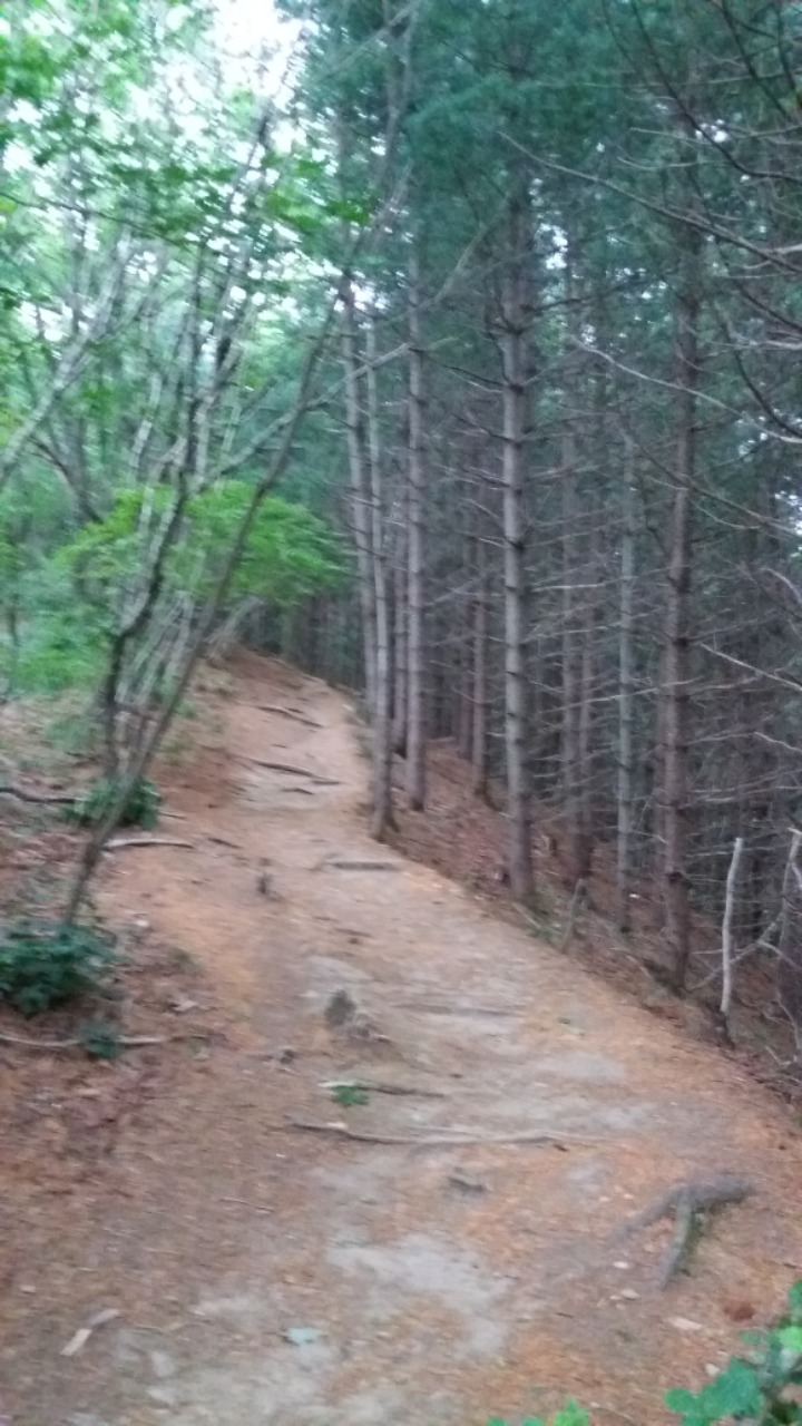 (주)솔매 이미지