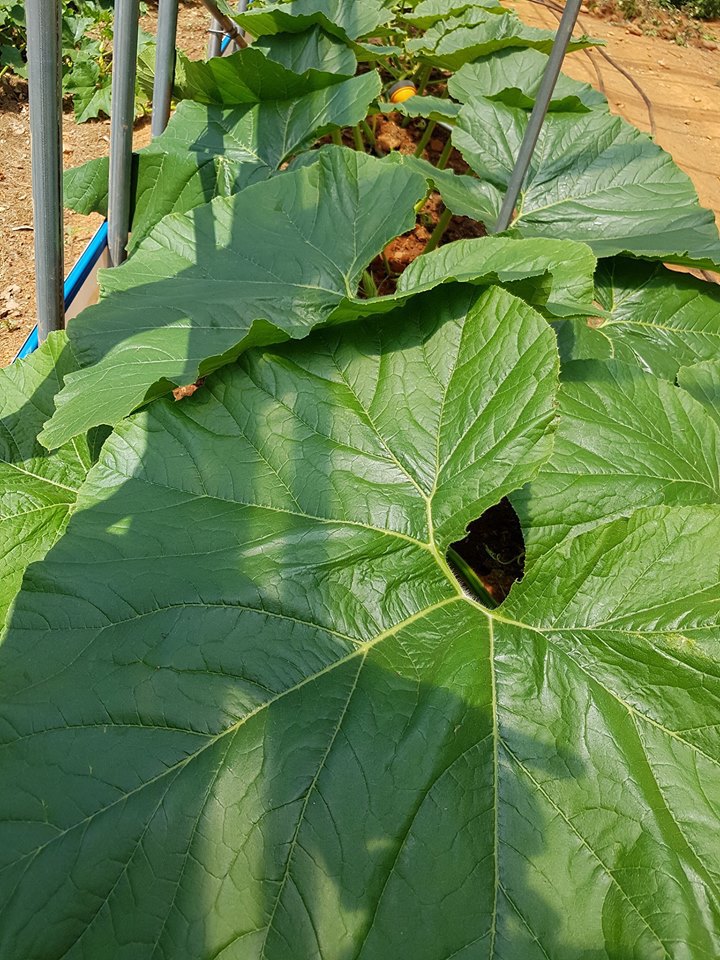 슈퍼이야기 이미지