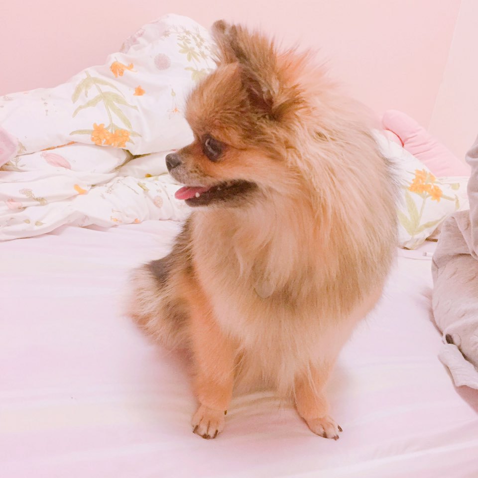 우리콩 이미지