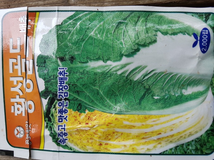 황성상점 이미지