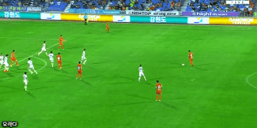 전세계적으로 극찬을 받고 있는 춘천의 기적 ㄷㄷㄷㄷ | 인스티즈