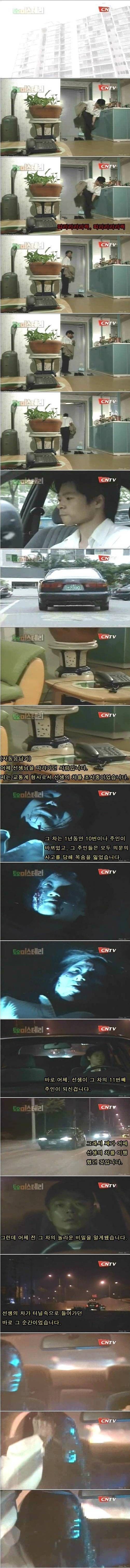토요미스테리 무서웠던 에피소드 | 인스티즈