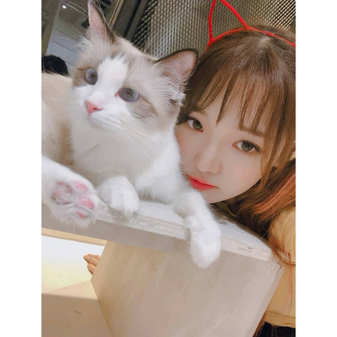 약속회 당첨기원 프로미스 나인 노지선 | 인스티즈