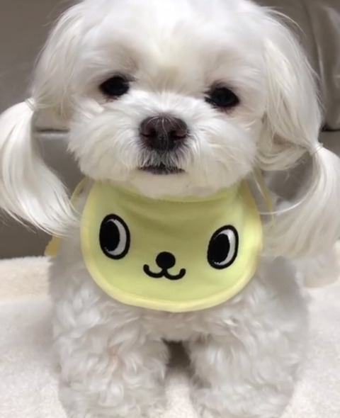 저 머리 묶은게 이뻐요, 아님 푸른게 이뻐요ㅠㅠ?? | 인스티즈