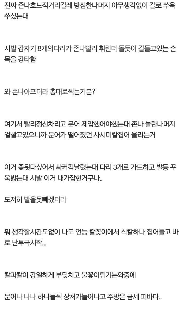 문어 잡을때 조심해야하는 이유 | 인스티즈