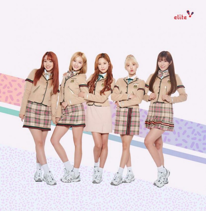엘리트 이미지