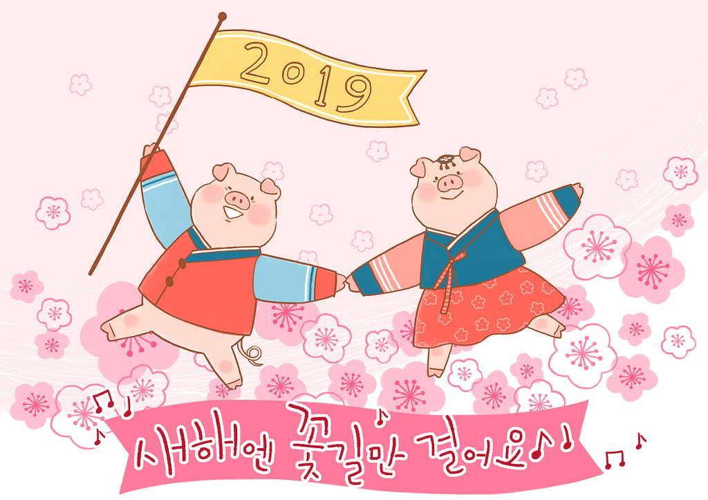 행운돼지 이미지