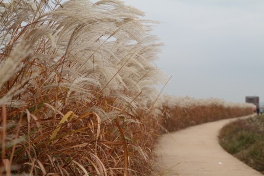 솔명 이미지