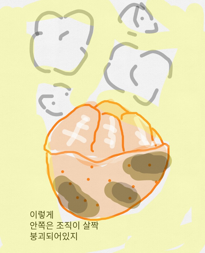 귤 구워먹는 만화 | 인스티즈