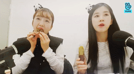 고구마 먹는 보미와 초롱.gif | 인스티즈