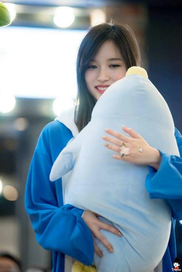 트와이스 미나 | 인스티즈